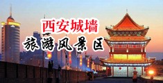 嗯啊啊好大啊舔视频中国陕西-西安城墙旅游风景区